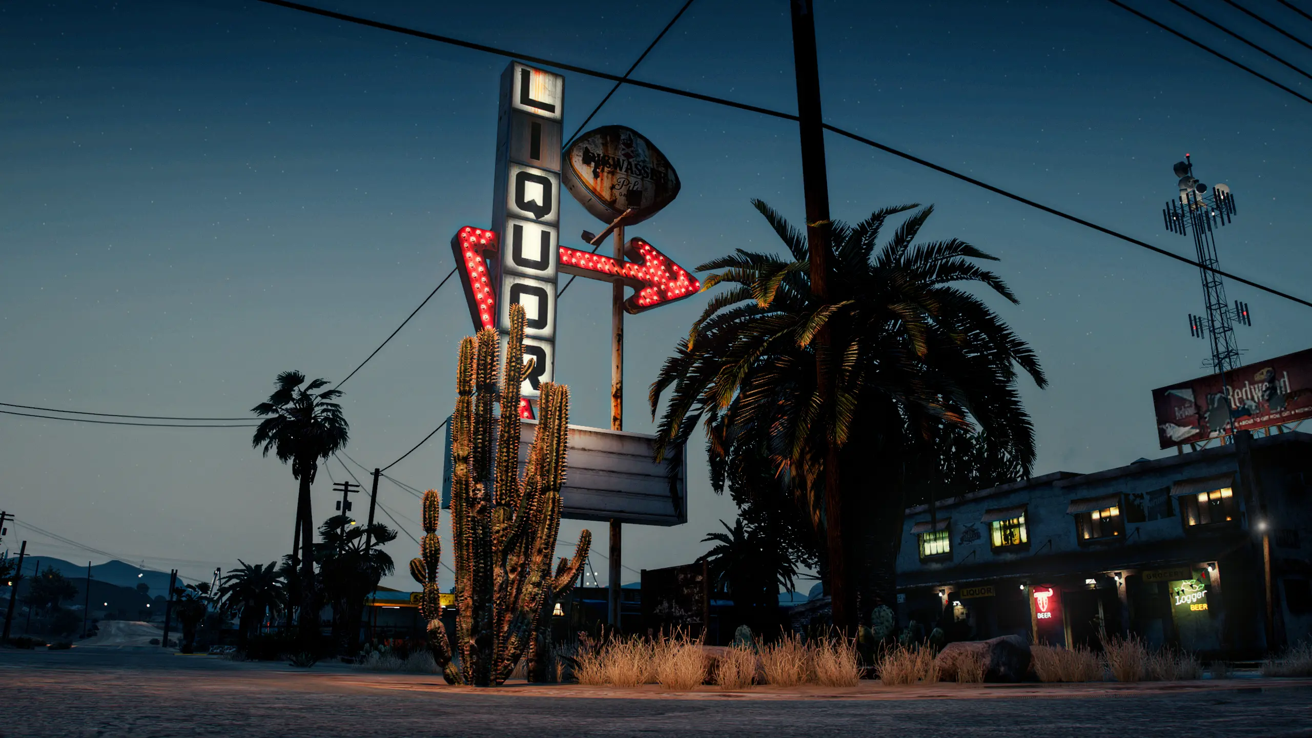 FiveM Hosting Background